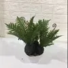 "Fresh and clean plants" Specification image